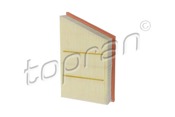 Air Filter (620 873)