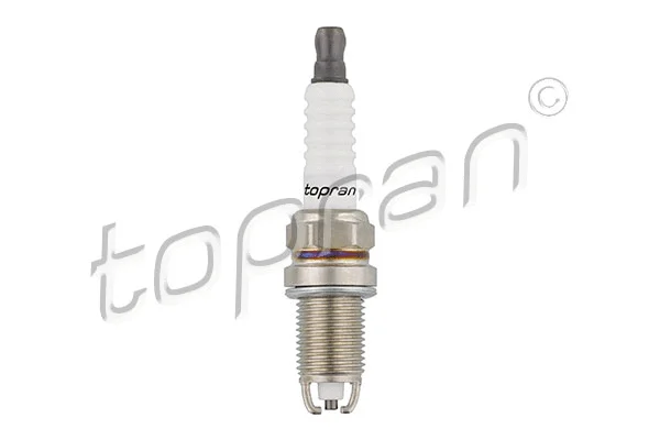 Spark Plug (500 629)