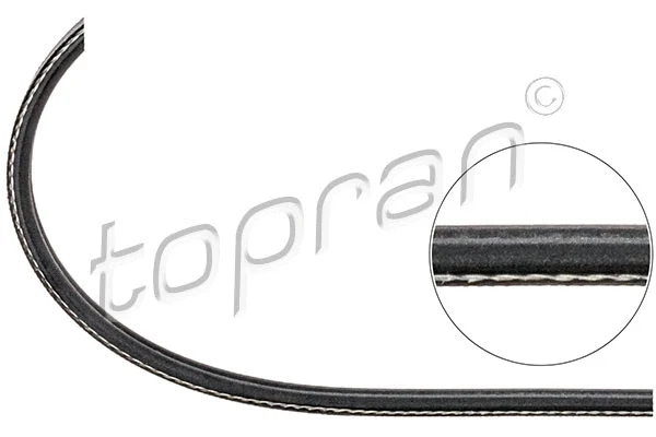 V-Ribbed Belt (104 130)