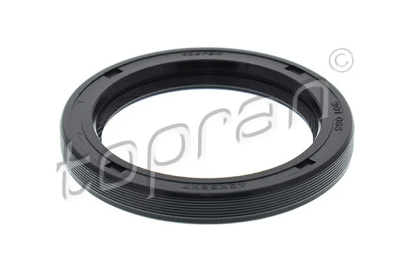 Shaft Seal, crankshaft (301 065)