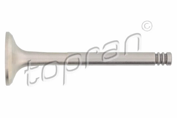 Exhaust Valve (100 812)