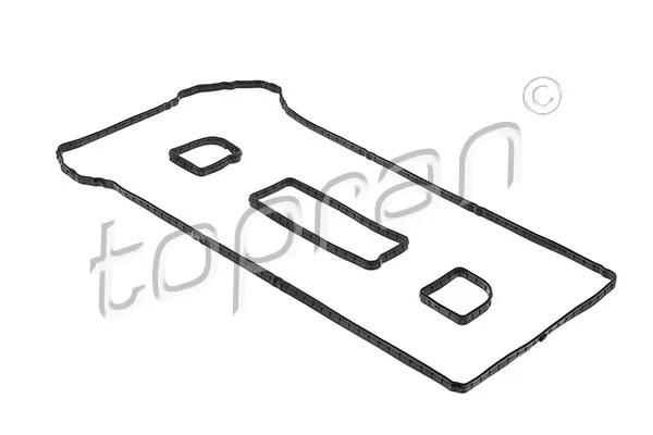 Gasket Set, cylinder head cover (302 272)