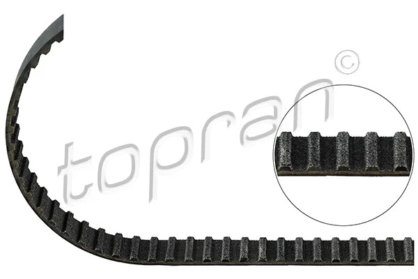 Timing Belt (203 852)