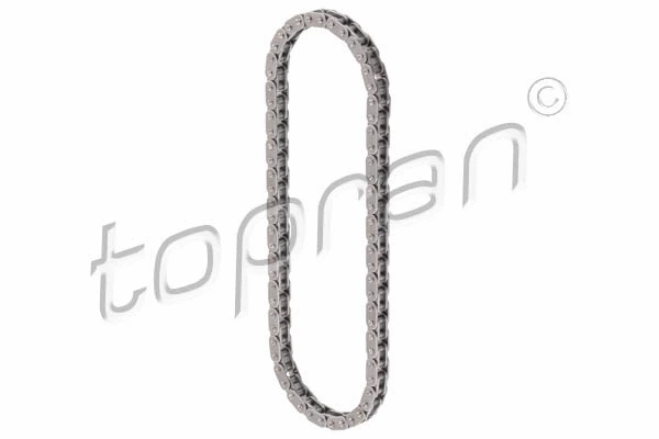 Chain, oil pump drive (117 277)