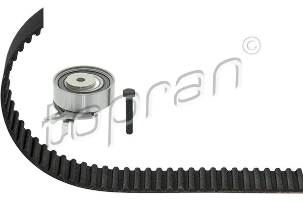 Timing Belt Kit (206 144)