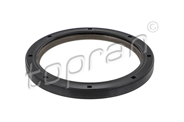 Shaft Seal, crankshaft (302 172)
