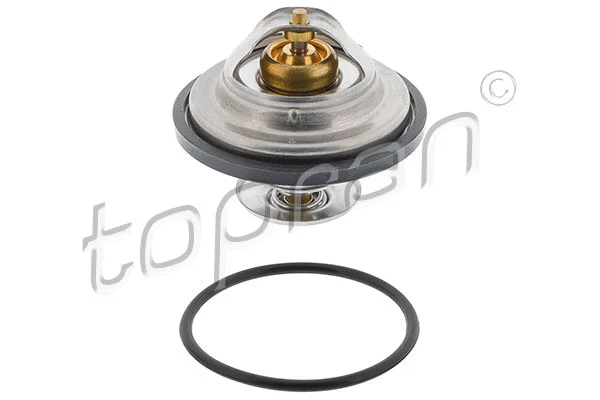 Thermostat, coolant (500 542)