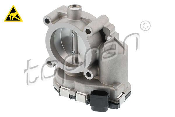 Throttle Body (409 617)