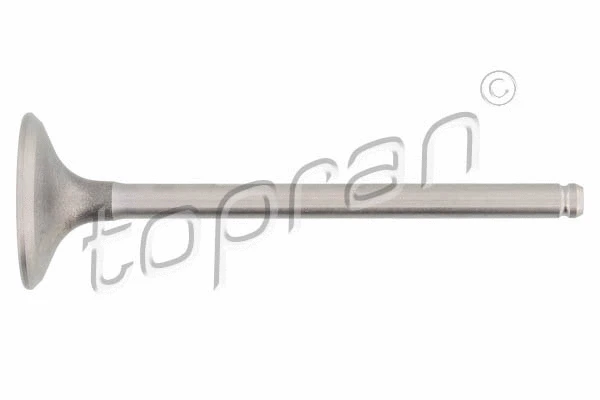 Intake Valve (700 657)