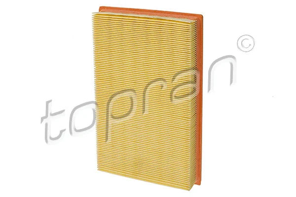 Air Filter (201 642)