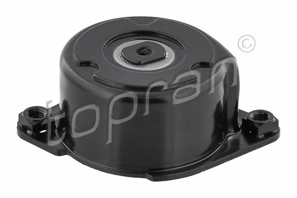 Belt Tensioner, V-ribbed belt (501 674)