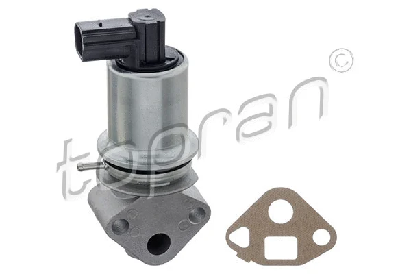 EGR Valve (113 755)