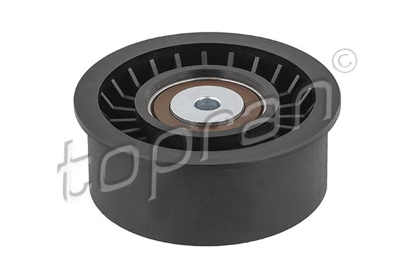 Deflection/Guide Pulley, timing belt (207 153)