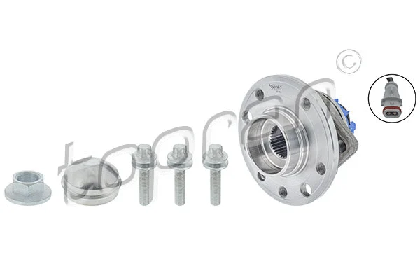 Wheel Bearing Kit (207 392)