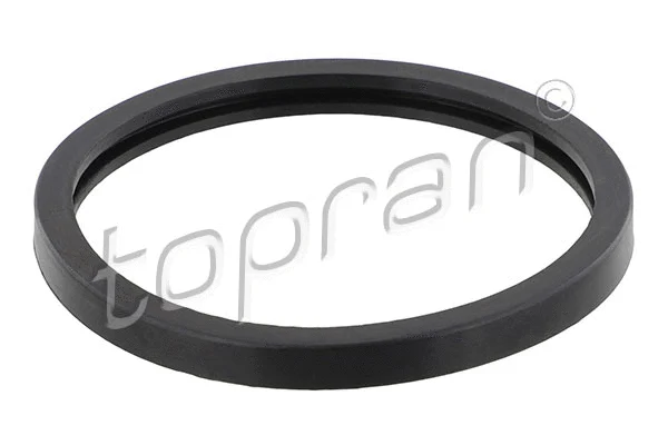 Seal, thermostat (202 325)