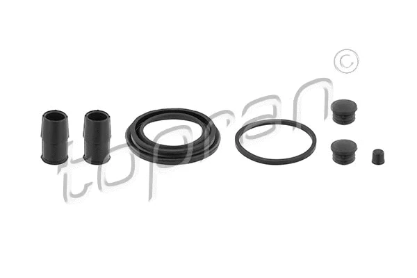 Repair Kit, brake caliper (202 449)
