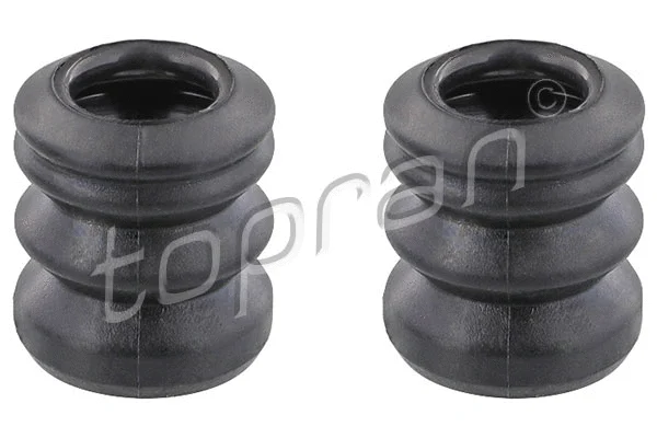Repair Kit, brake caliper (109 966)