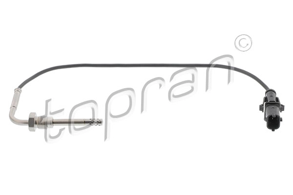 Sensor, exhaust gas temperature (601 633)