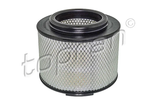 Air Filter (600 019)