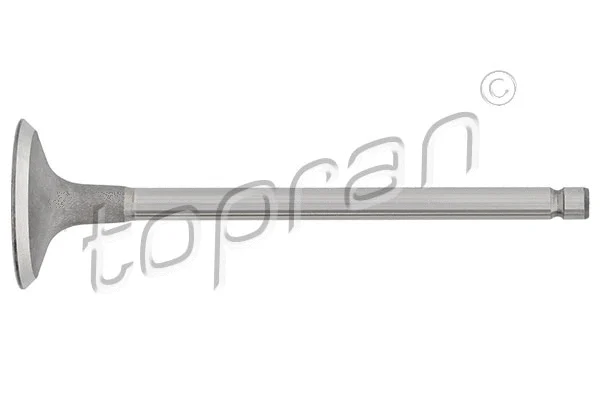 Intake Valve (721 561)