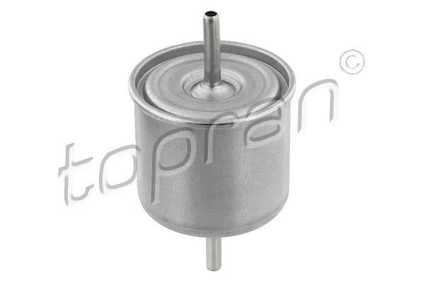 Fuel Filter (300 051)