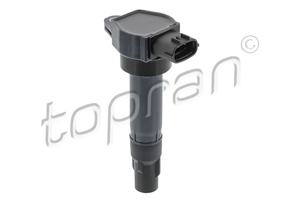 Ignition Coil (410 748)
