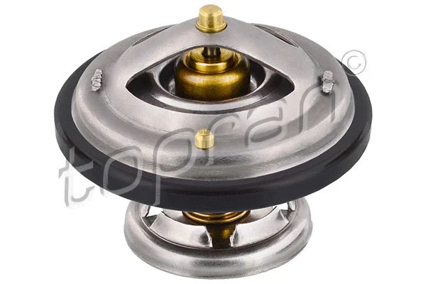 Thermostat, coolant (400 772)