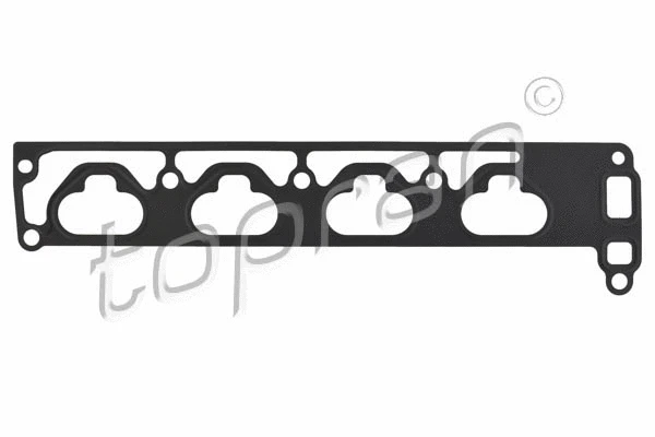 Gasket, intake manifold (206 184)