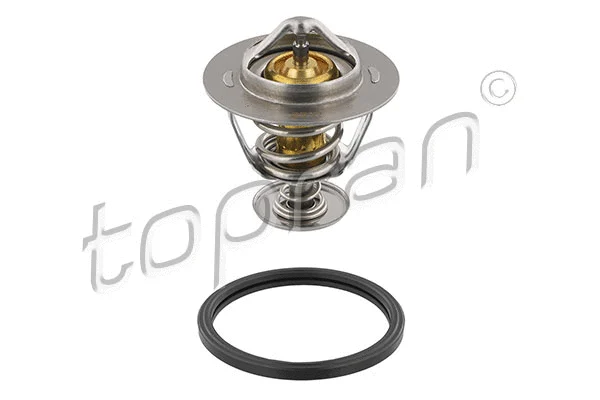 Thermostat, coolant (630 301)