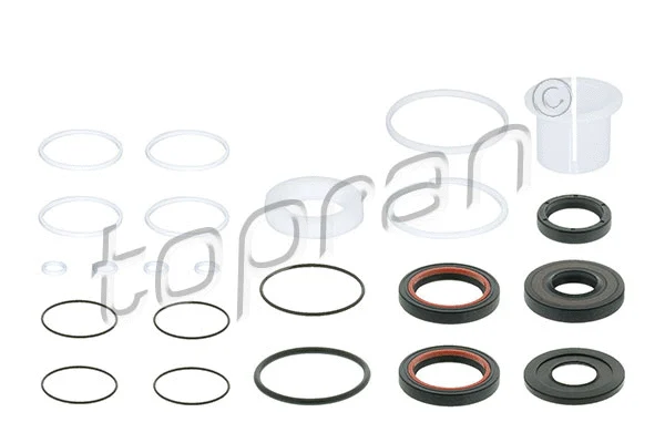 Gasket Set, steering gear (409 169)