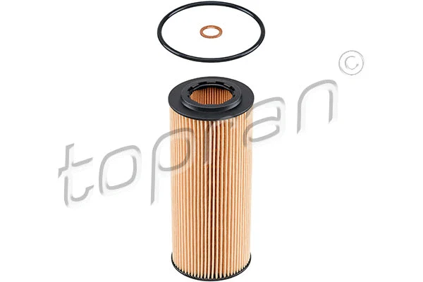 Oil Filter (500 735)