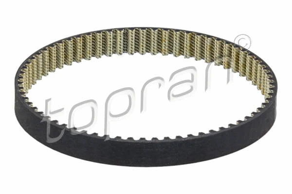 Timing Belt (116 930)