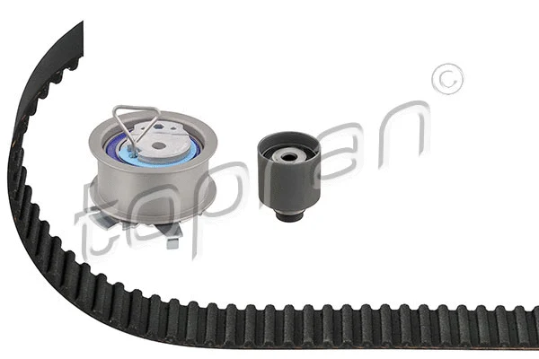 Timing Belt Kit (111 198)