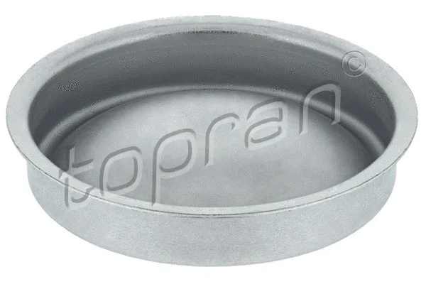 Protection Lid, wheel hub (723 482)