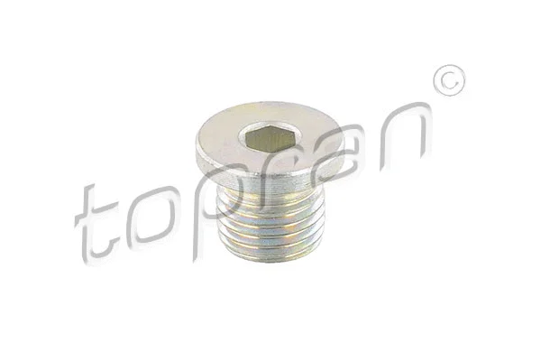Screw Plug, oil sump (115 349)
