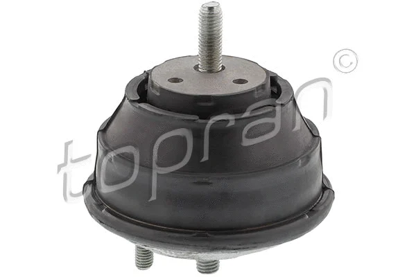Mounting, engine (500 745)