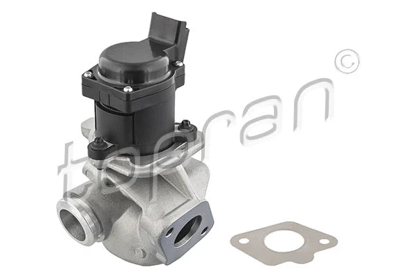 EGR Valve (722 663)