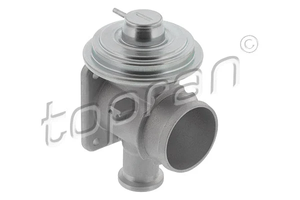 EGR Valve (639 180)