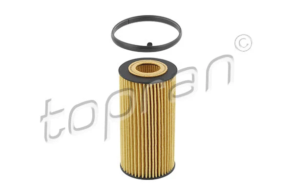 Oil Filter (625 364)