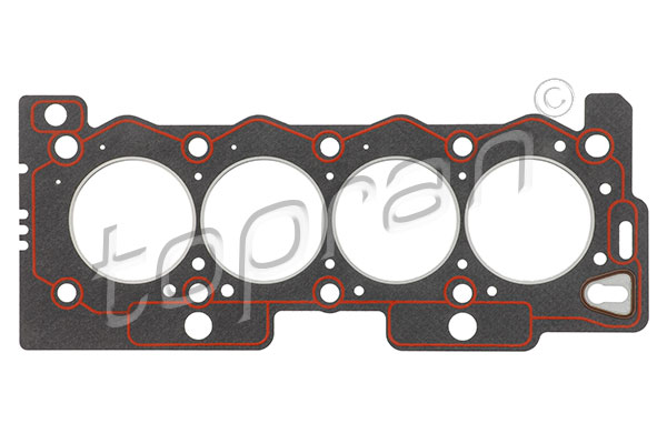 Gasket, cylinder head (722 338)