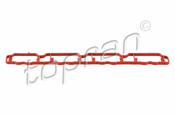 Gasket, intake manifold (113 161)