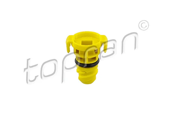 Screw Plug, oil sump (305 175)