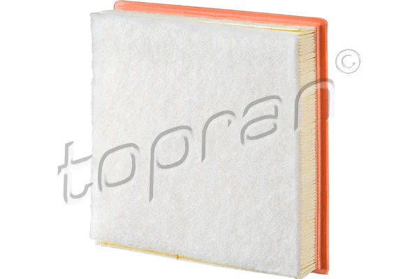 Air Filter (502 047)