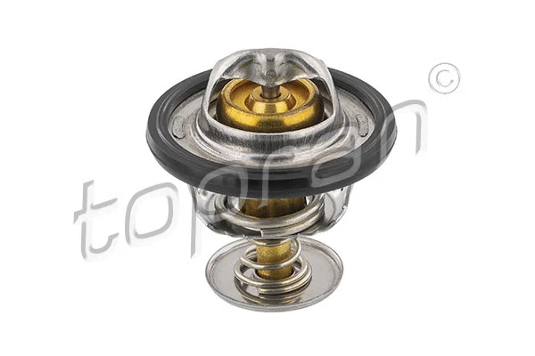 Thermostat, coolant (721 108)