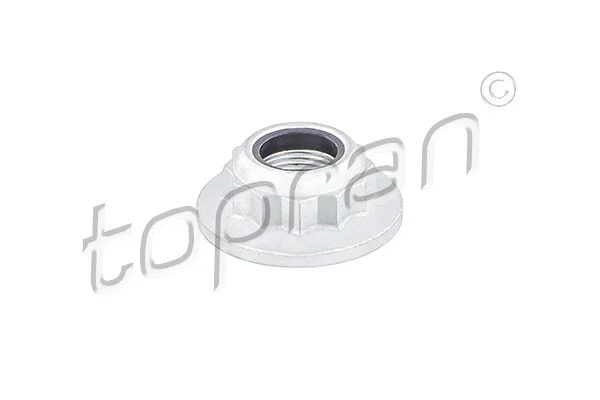 Nut, stub axle (111 315)