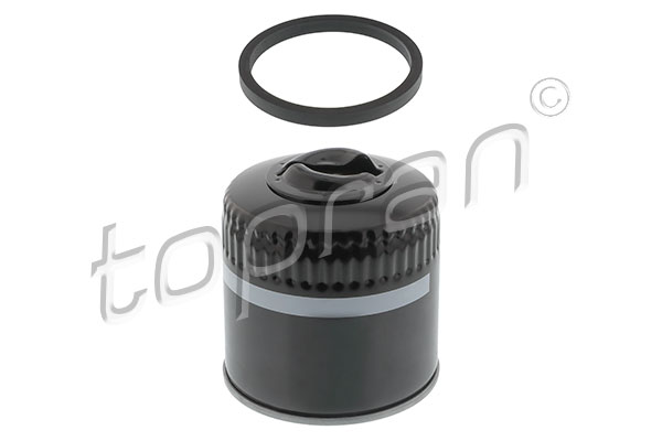 Oil Filter (107 506)
