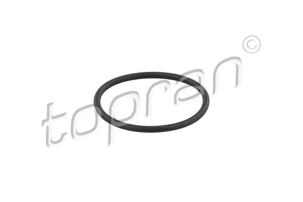 Gasket, fuel pump (628 106)