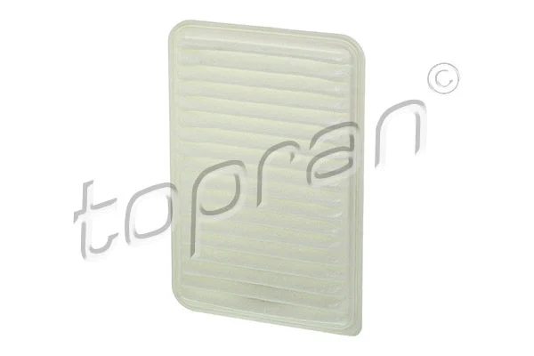 Air Filter (600 062)