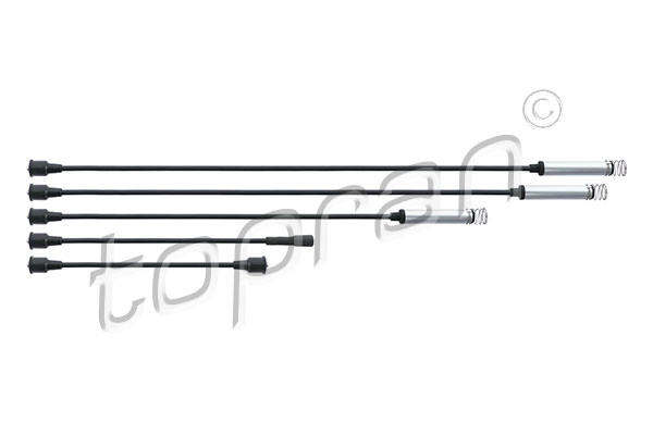 Ignition Cable Kit (202 516)