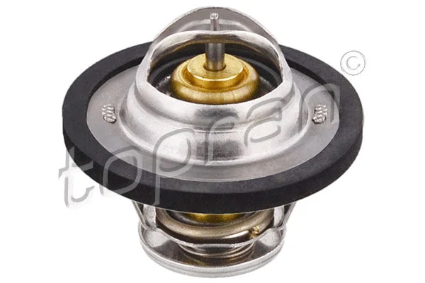 Thermostat, coolant (721 118)